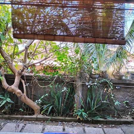 Dharma Yoga Homestay Dan Hostel Amed Eksteriør billede